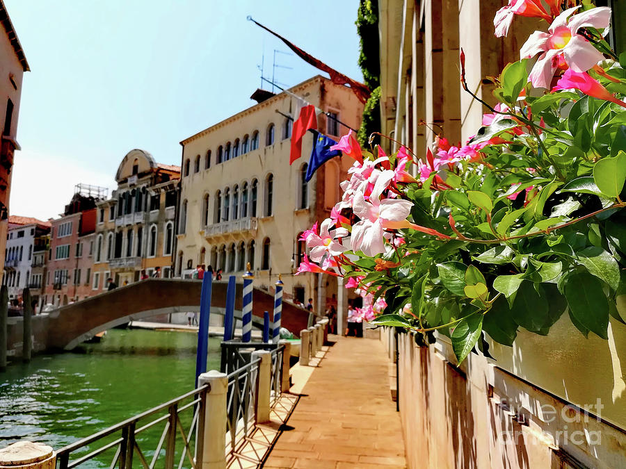 Venice Canal in Bloom Photograph by Loretta S
