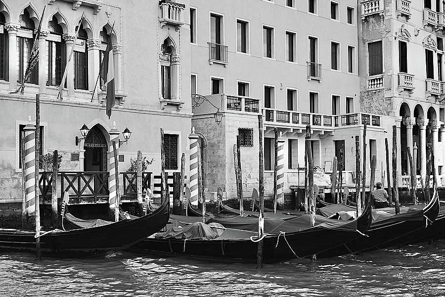  Venice Gondolas in Black and White Photograph by Caroline Stella