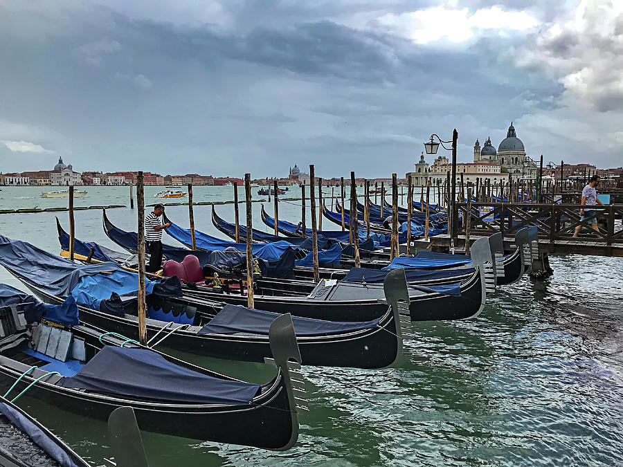Venice Gondolas Photograph by Jill Love