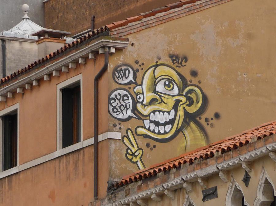 Venice graffiti Photograph by Lisa Mutch