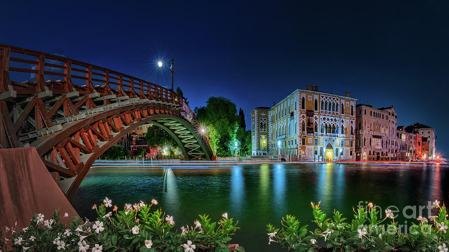 Venice panorama on Canal Grande by night Photograph by The P