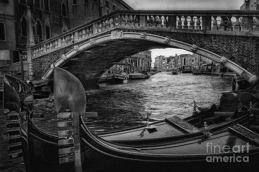 Venice Ponte delle Guglie bnw Photograph by The P
