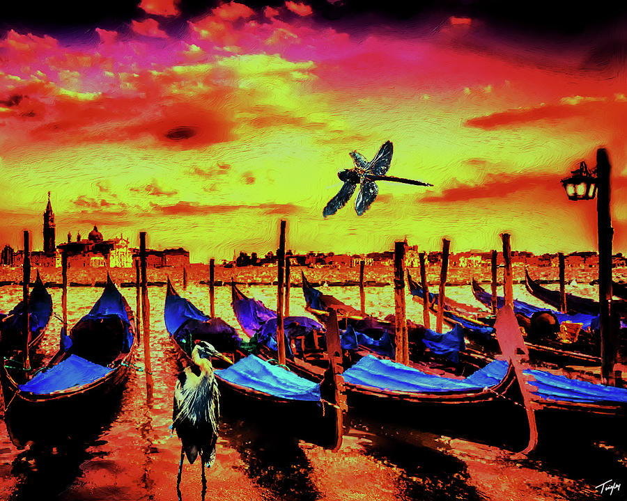 Venice sunset  Digital Art by Larry Tingley