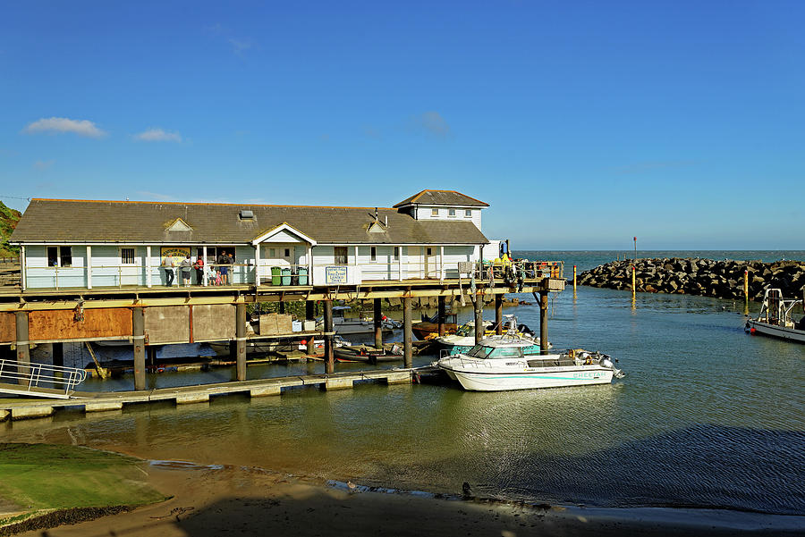 Summer Photograph -  Ventnor Haven Fishery - #1 by Rod Johnson