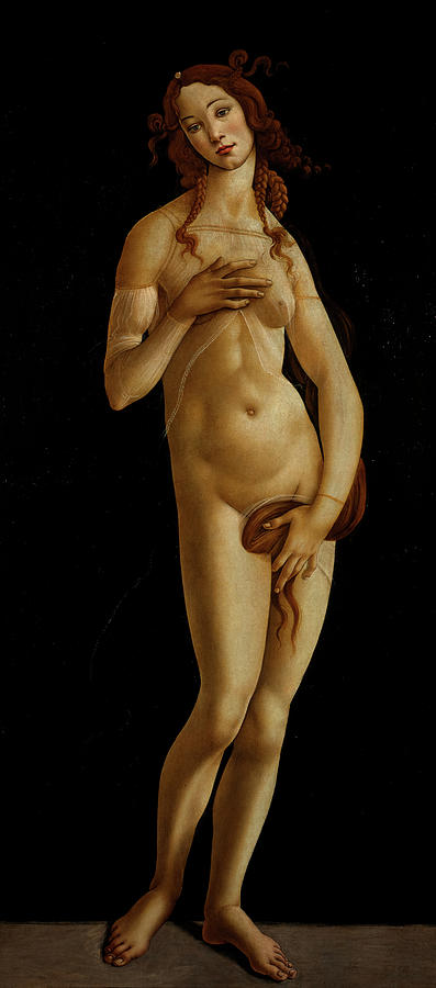 Sandro Botticelli Painting - Venus, 1495-1497 by Sandro Botticelli