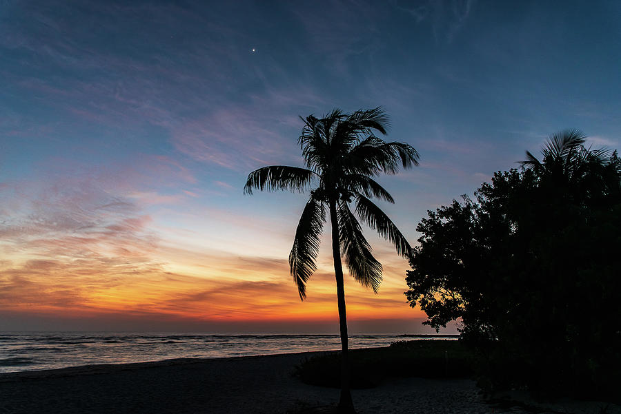 Sunset Photograph - Sanibel Island Venus And The Palm by Edward Saternus