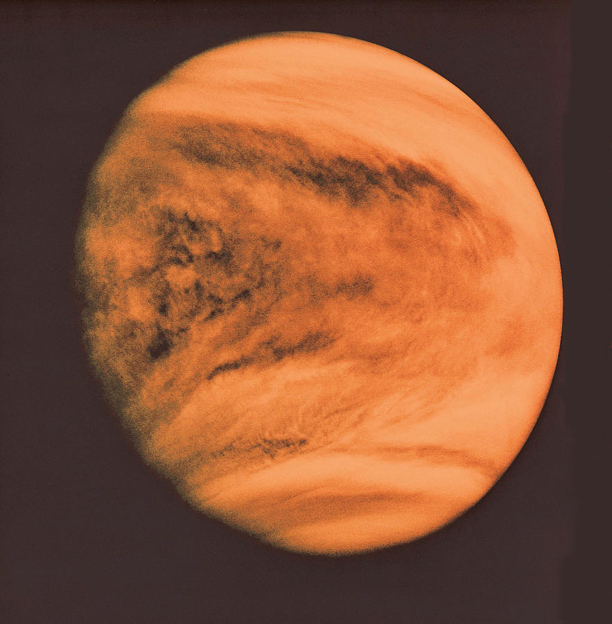 Venus Photograph by Digital Vision.