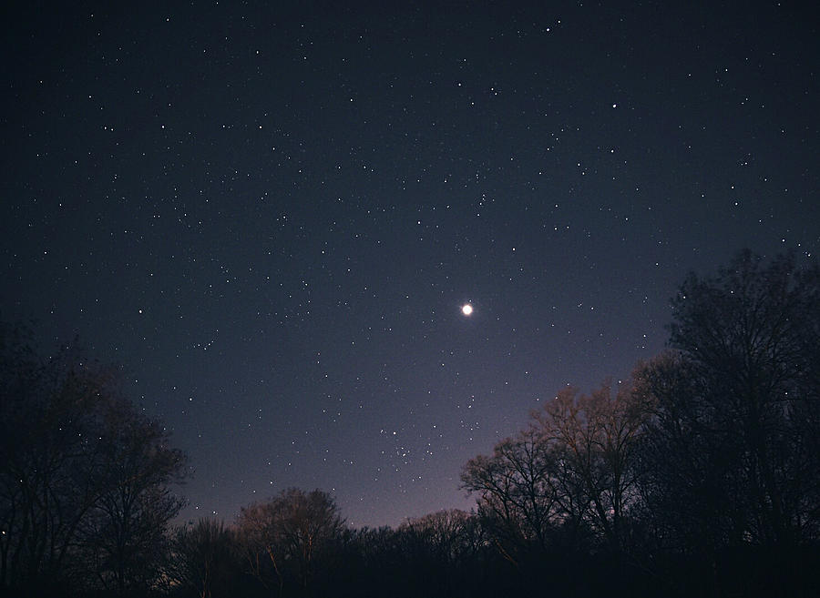 Venus in the Sky with Diamonds Photograph by Christina McGoran