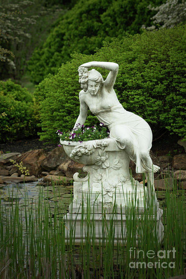 Venus of Baxter Gardens Photograph by Nicki McManus