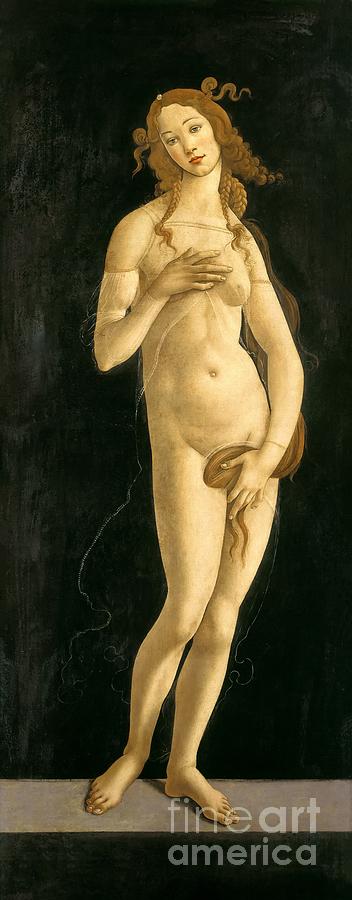 Venus Pudica Painting by Sandro Botticelli