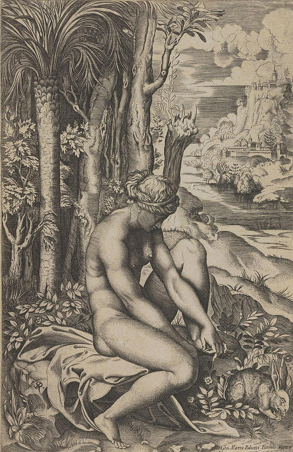 Raphael Painting - Venus removing a thorn from her left foot while seated on a cloth beside trees and foliage  a hare eating grass before her  by Raphael  Marco Dente