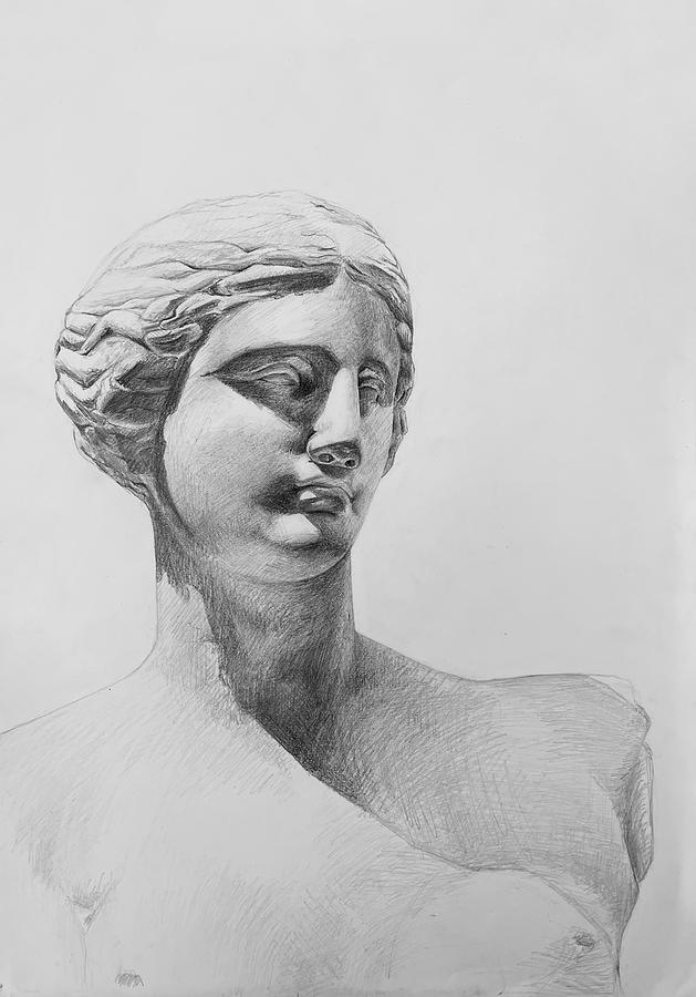 Venus Drawing by Zeina Helmy - Fine Art America