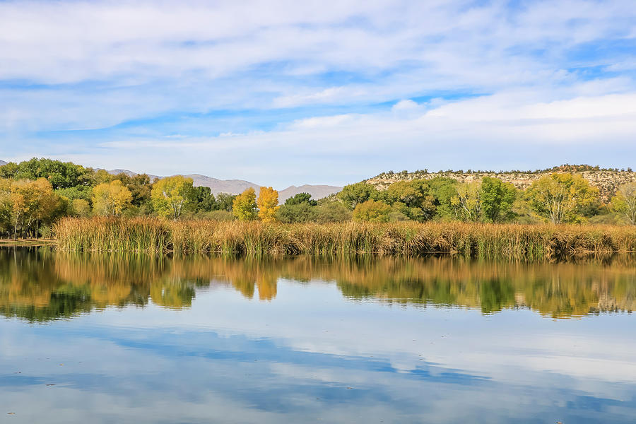 Verde River Reflection 2 Photograph by Dawn Richards