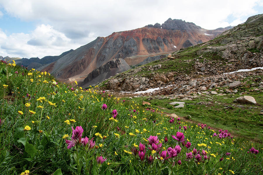 Vermilion Mountain Summer Landscape Photograph by Cascade Colors