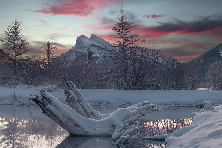 Vermillion Lakes Banff Photograph by Martin Pedersen
