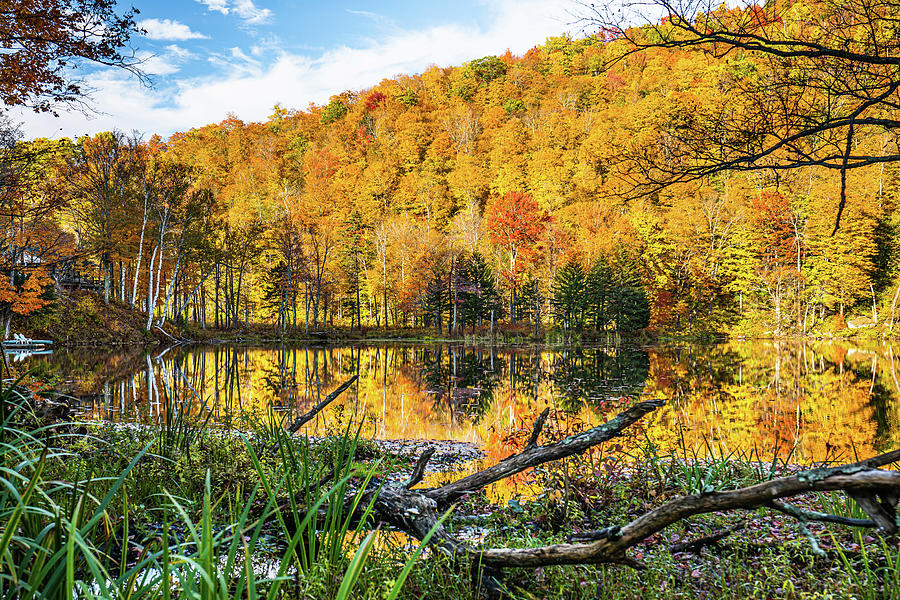 Vermont Autumn at Black Pond-2 Photograph by Ron Long Ltd Photography