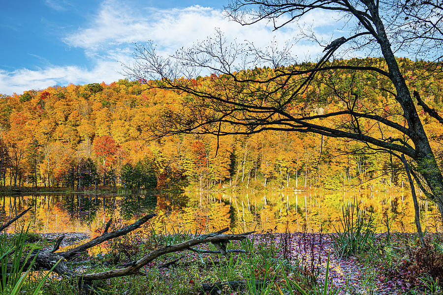 Vermont Autumn at Black Pond Photograph by Ron Long Ltd Photography