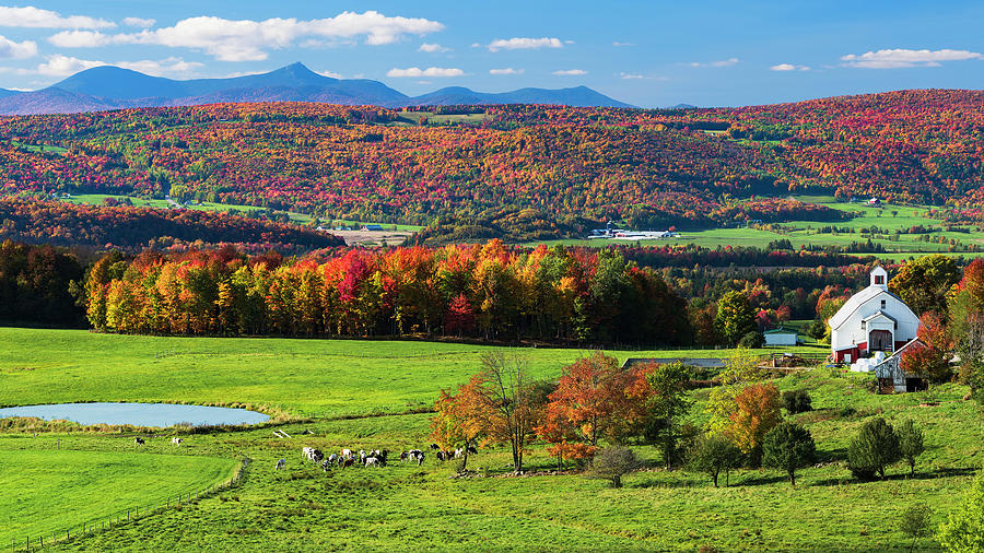 Vermont Autumn Countryside 3 Photograph by Alan L Graham