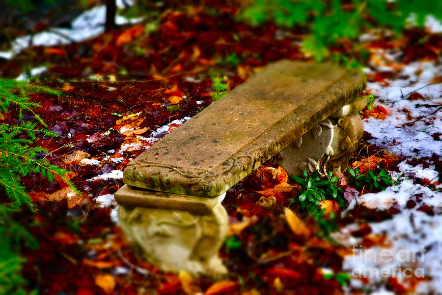 Vermont Autumn Leaves Stone Bench Photograph by Debra Banks