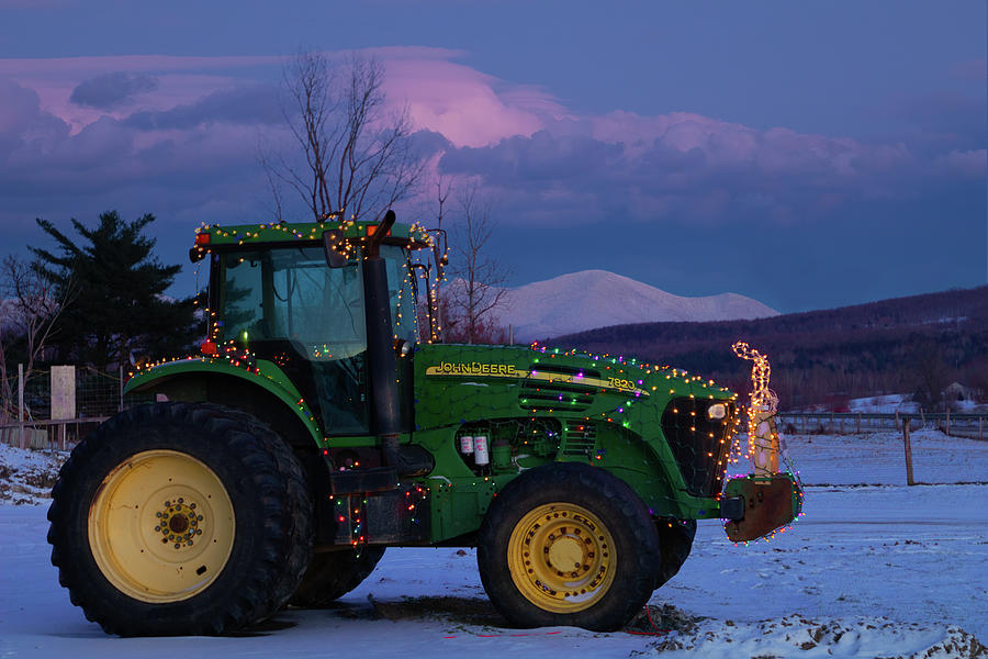 Vermont Christmas Tree Photograph