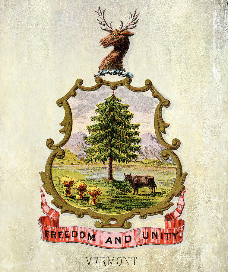 Vermont Coat of Arms 1876 Photograph by Jon Neidert