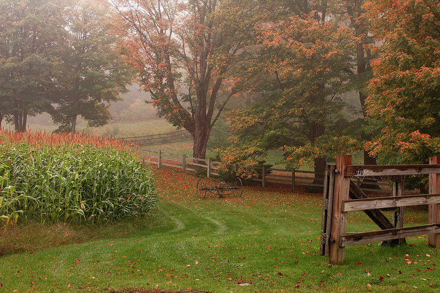 Vermont Corn Field entrance Photograph by Jeff Folger