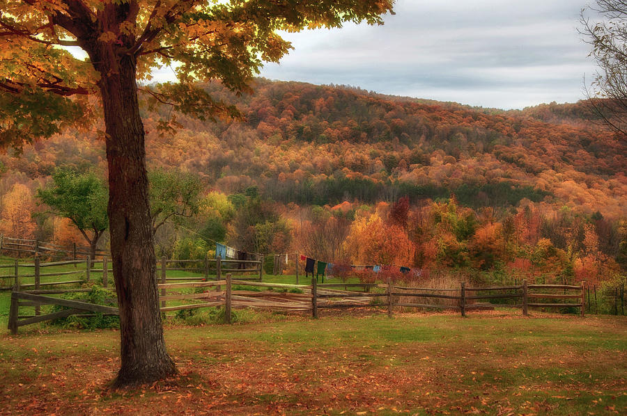 Vermont Photograph - Vermont Country Scenes by Joann Vitali