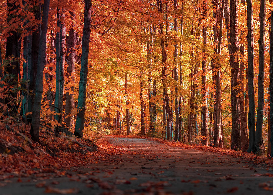 Vermont Dirt Road in Fall Photograph by Jeffrey Hastings - Fine Art America