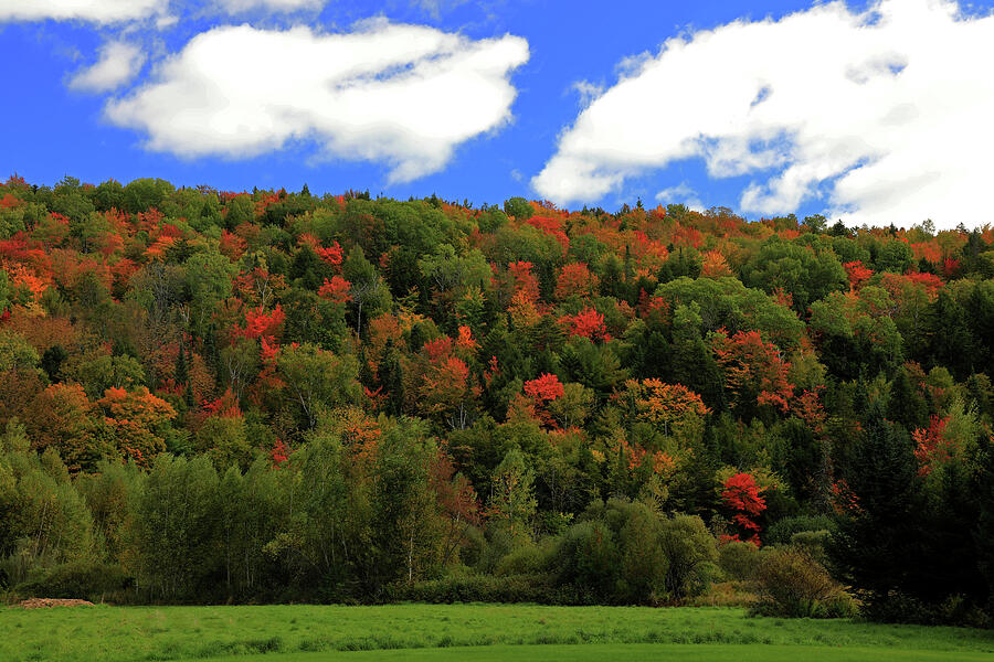 Vermont Fall Colors Photograph by Richard Krebs