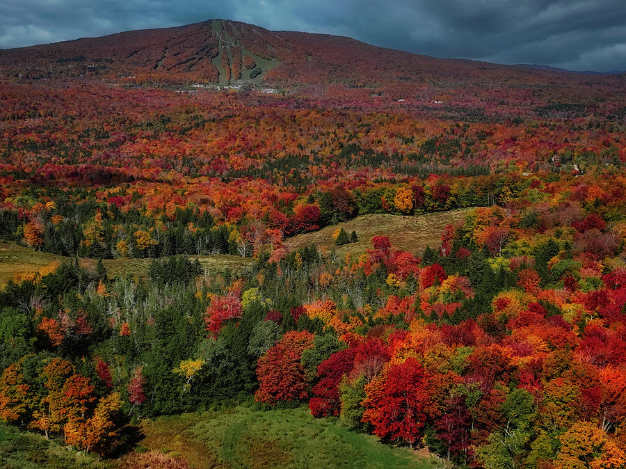Vermont Fall Foliage Display Photograph by Susan Candelario