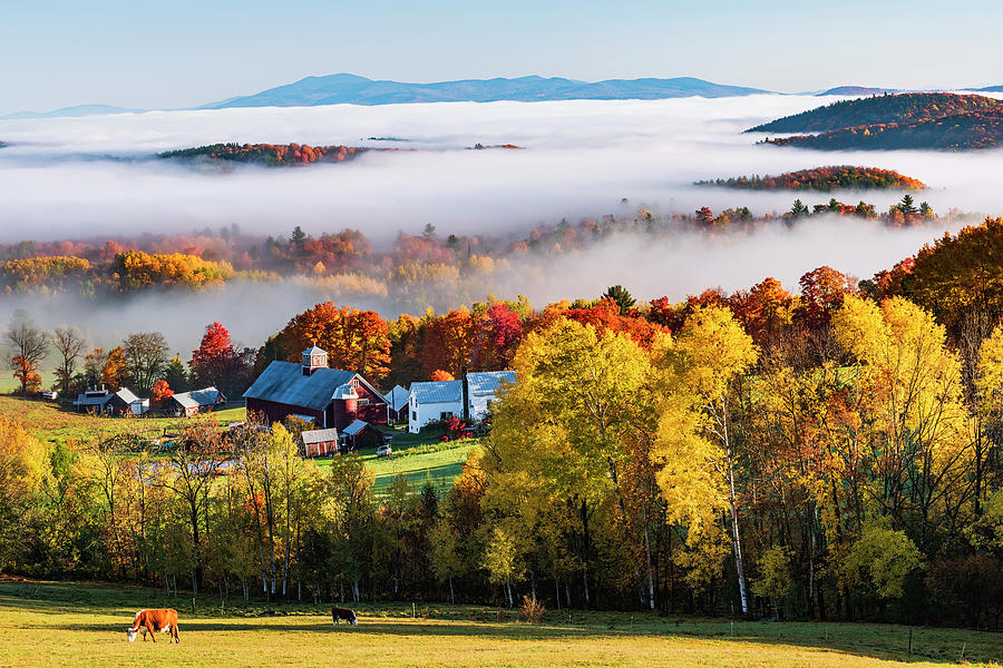 Vermont Fall Morning Photograph by Alan L Graham