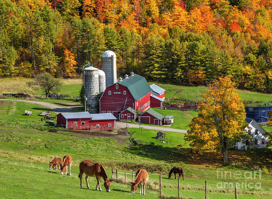 Vermont Farm in Autumn - Fall in New England Photograph by Brian Jannsen