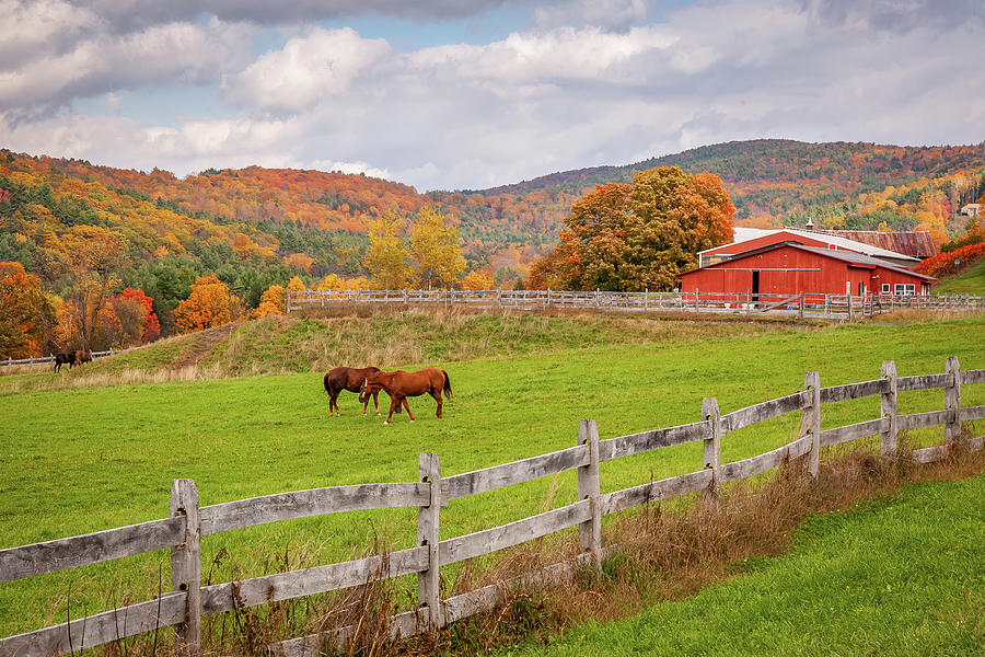 Vermont Farm with Horses in Autumn Photograph by Jeff Folger