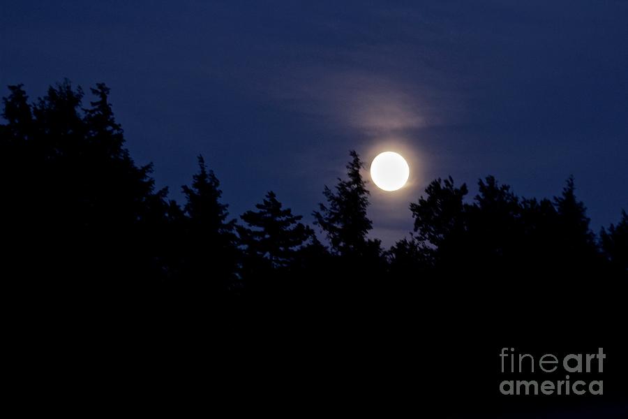 Vermont Full Moon Photograph by Ann E Robson