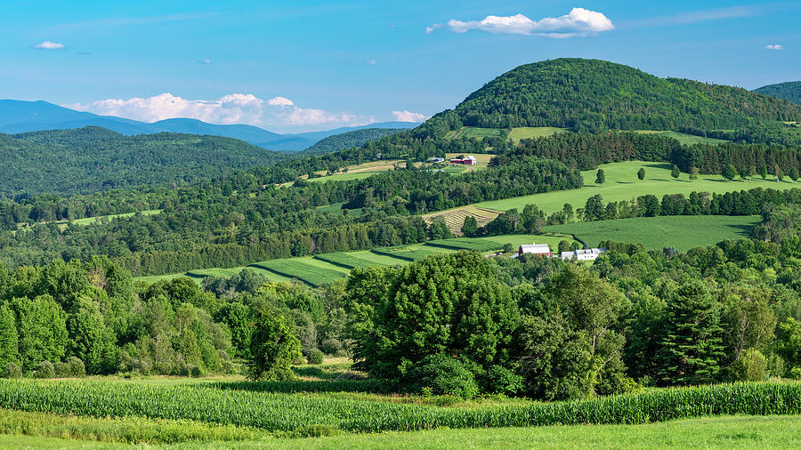 Vermont Pastoral Landscape  Photograph by Alan L Graham