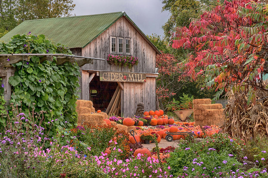 Vermont pumpkins and autumn flowers Photograph by Jeff Folger