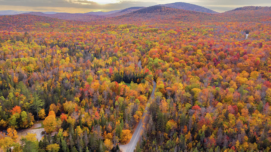 Vermont Road wanders through Autumn Colors Photograph by Jeff Folger