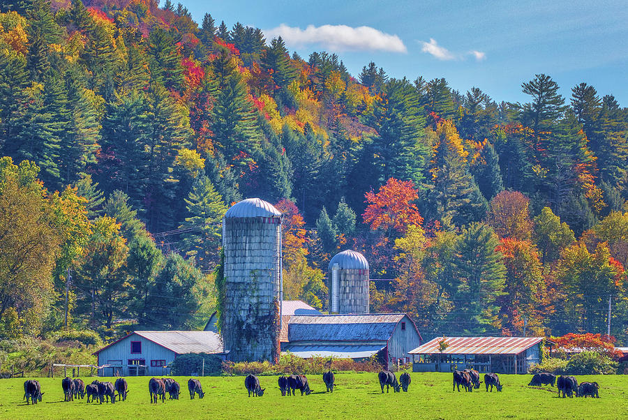 Vermont Route 100 Byway Photograph by Juergen Roth