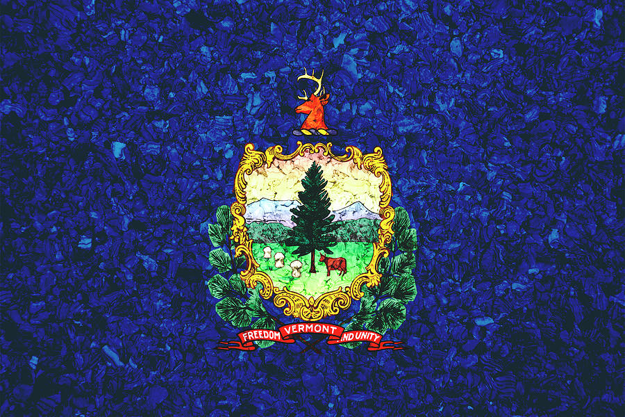 Vermont State Flag Photograph