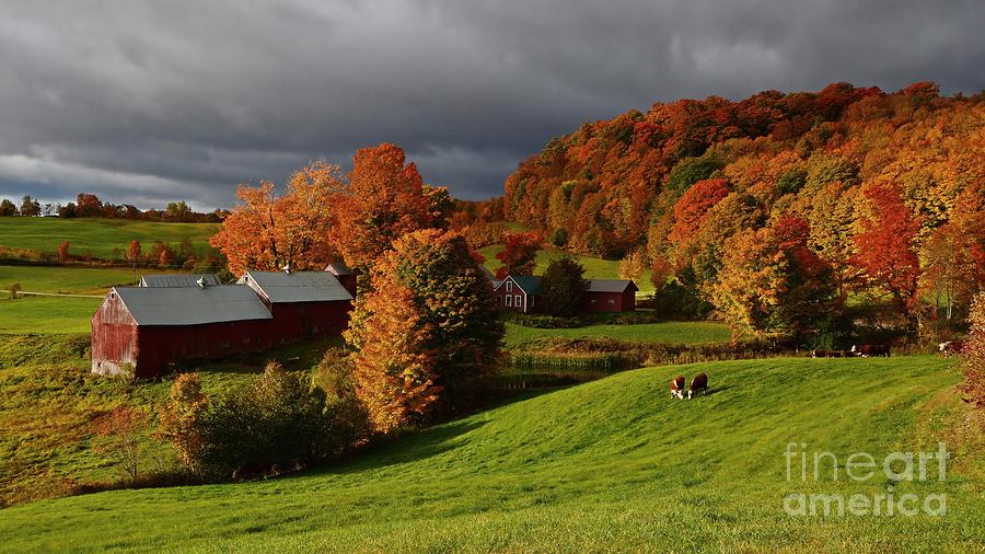 Vermont Under a Blanket of Color Photograph by Steve Brown