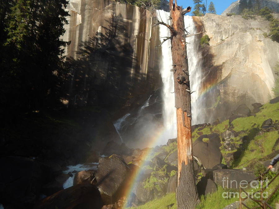 Vernal Falls Yosemite Photograph by Chris Tarpening