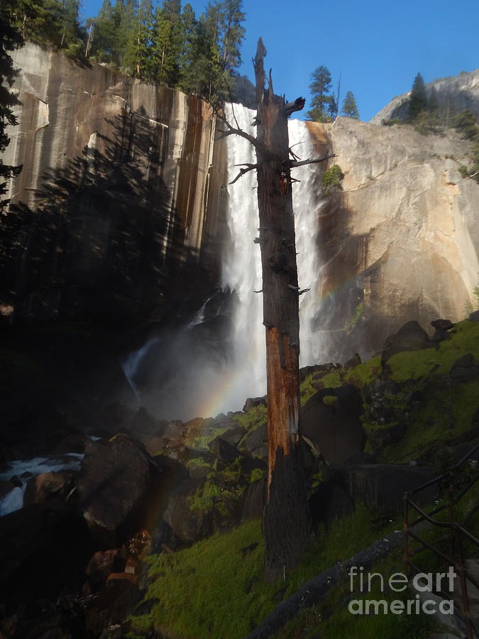 Vernal Falls Yosemite Upright Photograph by Chris Tarpening