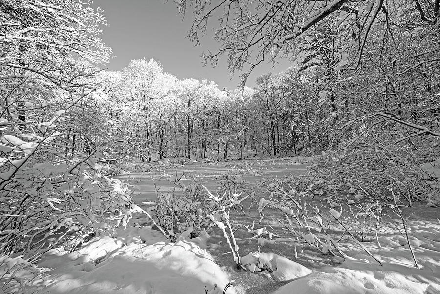 Vernal Pond in Ravenswood Park Covered in Snow Gloucester Massachusetts Black and White Photograph by Toby McGuire