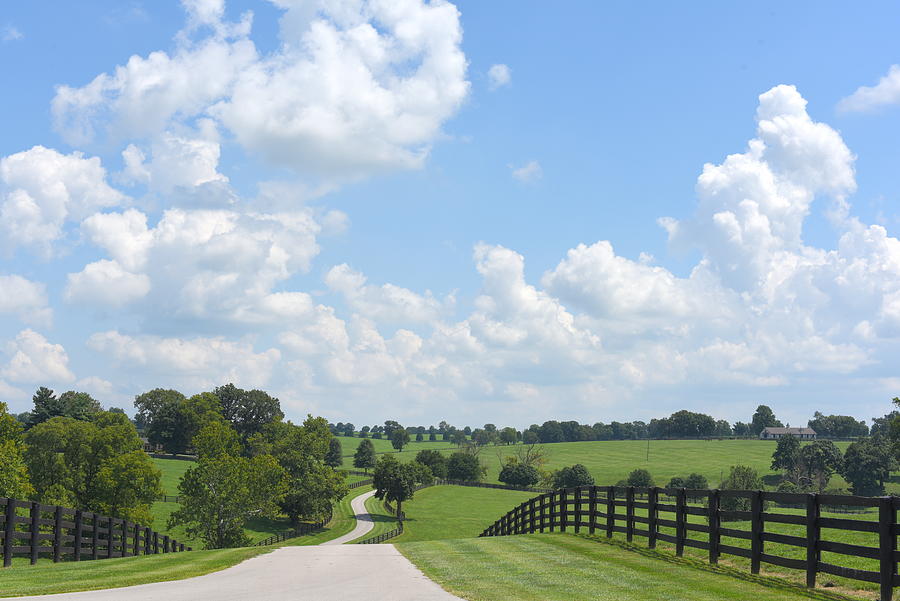 Versailles Kentucky Landscape Photograph by Angela Comperry