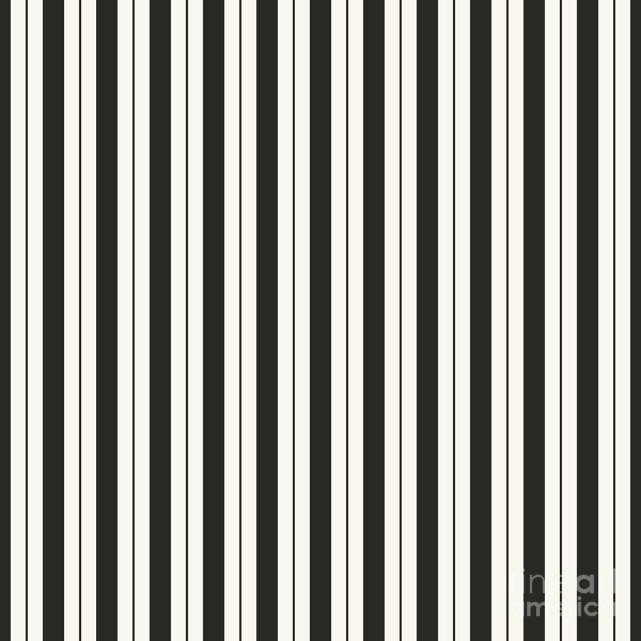 Vertical Awning And Pin Stripe Pattern In Bone White And Wrought Iron Black N.3059 Painting