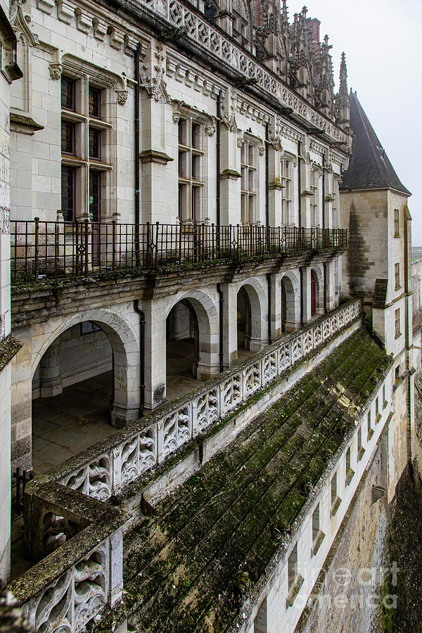 Vertical facade Details Chateau Royal d Amboise French Chateau Region The Loire Valley Photograph by Wayne Moran