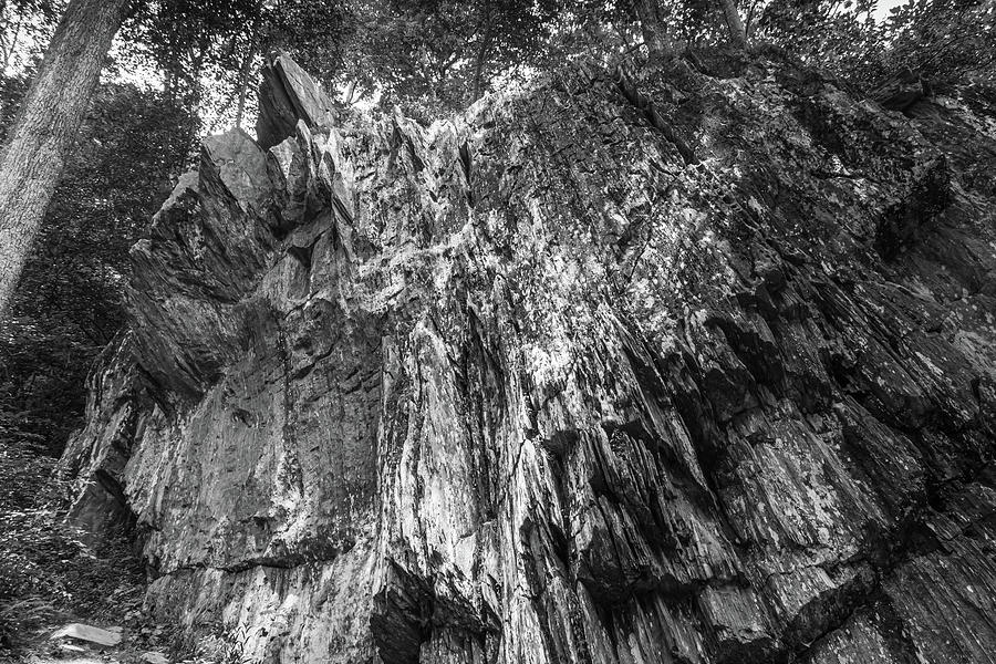 Vertical Face Photograph by Samuel Tillman