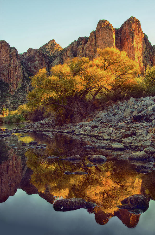Phoenix Photograph - Vertical fall color reflections by Dave Dilli