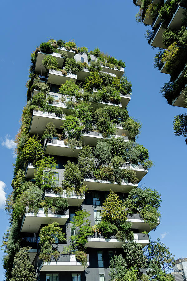 Vertical Forest, Milan.5 Photograph by Nina Kulishova - Pixels