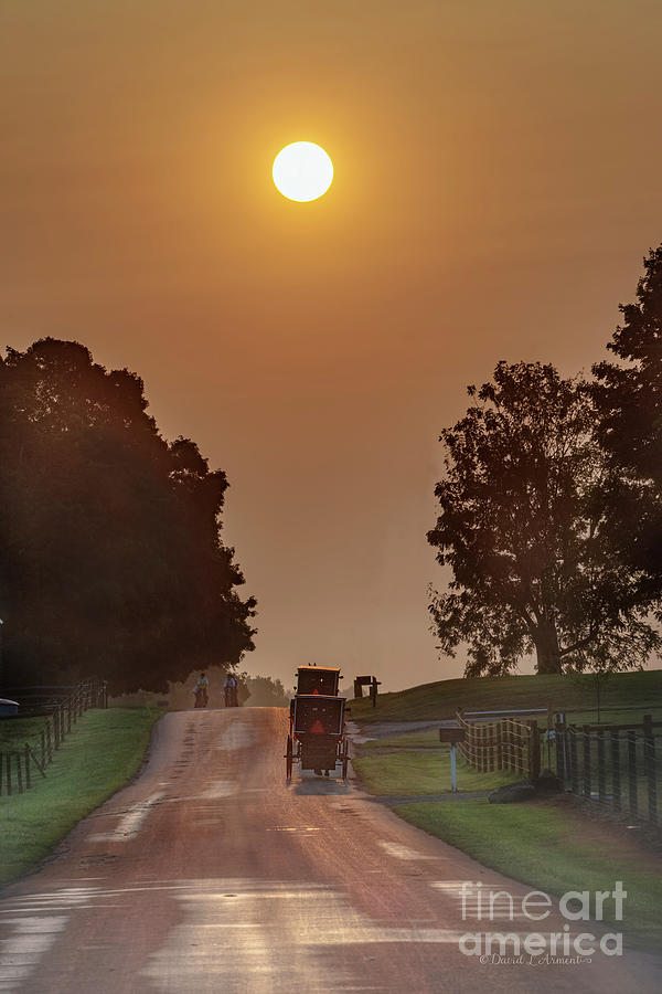 Vertical Image of Buggies Cresting Hill in Early Morning Photograph by David Arment
